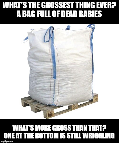 Now That's Gross! | WHAT'S THE GROSSEST THING EVER?
A BAG FULL OF DEAD BABIES; WHAT'S MORE GROSS THAN THAT?
ONE AT THE BOTTOM IS STILL WRIGGLING | image tagged in big bag | made w/ Imgflip meme maker