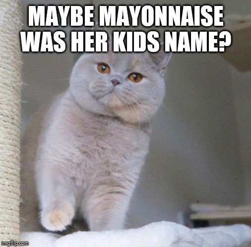 MAYBE MAYONNAISE WAS HER KIDS NAME? | made w/ Imgflip meme maker