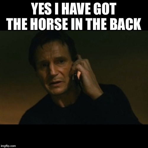 Liam Neeson Taken Meme | YES I HAVE GOT THE HORSE IN THE BACK | image tagged in memes,liam neeson taken | made w/ Imgflip meme maker