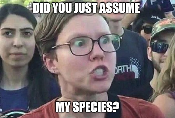 Triggered Liberal | DID YOU JUST ASSUME MY SPECIES? | image tagged in triggered liberal | made w/ Imgflip meme maker