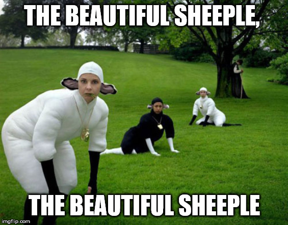 Sheeple | THE BEAUTIFUL SHEEPLE, THE BEAUTIFUL SHEEPLE | image tagged in sheeple | made w/ Imgflip meme maker