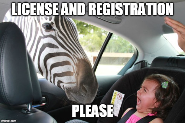 FUK DA POLICE | LICENSE AND REGISTRATION; PLEASE | image tagged in zebra,screaming | made w/ Imgflip meme maker