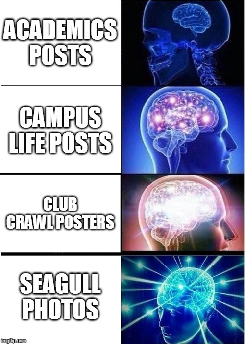 Expanding Brain Meme | ACADEMICS POSTS; CAMPUS LIFE POSTS; CLUB CRAWL POSTERS; SEAGULL PHOTOS | image tagged in memes,expanding brain,UBC | made w/ Imgflip meme maker