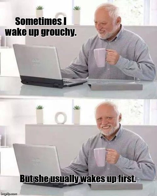 Hide the Pain Harold Meme | Sometimes I wake up grouchy. But she usually wakes up first. | image tagged in memes,hide the pain harold,married,sleep,wake up | made w/ Imgflip meme maker