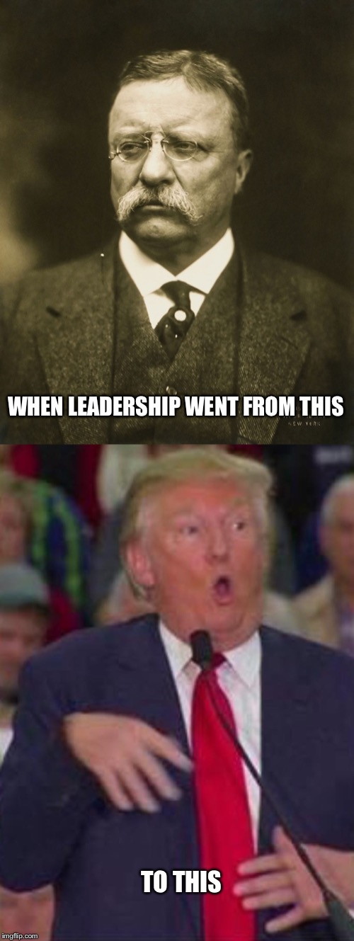 WHEN LEADERSHIP WENT FROM THIS TO THIS | image tagged in teddy roosevelt,trump derp | made w/ Imgflip meme maker