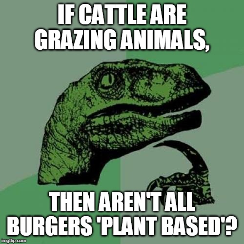 Philosoraptor | IF CATTLE ARE GRAZING ANIMALS, THEN AREN'T ALL BURGERS 'PLANT BASED'? | image tagged in memes,philosoraptor | made w/ Imgflip meme maker