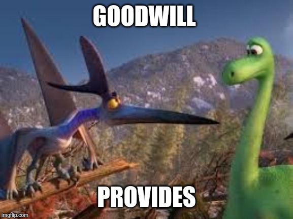 Good Dinosaur - The storm provides | GOODWILL; PROVIDES | image tagged in good dinosaur - the storm provides | made w/ Imgflip meme maker