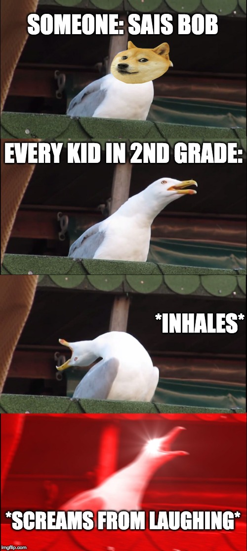 Inhaling Seagull | SOMEONE: SAIS BOB; EVERY KID IN 2ND GRADE:; *INHALES*; *SCREAMS FROM LAUGHING* | image tagged in memes,inhaling seagull | made w/ Imgflip meme maker