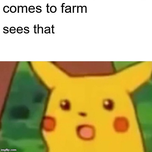 Surprised Pikachu Meme | comes to farm sees that | image tagged in memes,surprised pikachu | made w/ Imgflip meme maker