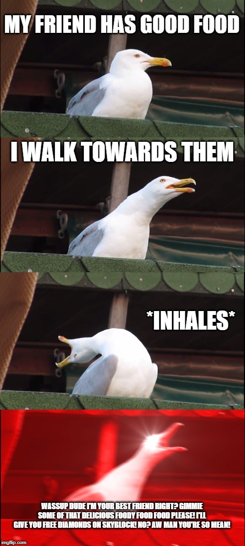 Inhaling Seagull | MY FRIEND HAS GOOD FOOD; I WALK TOWARDS THEM; *INHALES*; WASSUP DUDE I'M YOUR BEST FRIEND RIGHT? GIMMIE SOME OF THAT DELICIOUS FOODY FOOD FOOD PLEASE! I'LL GIVE YOU FREE DIAMONDS ON SKYBLOCK! NO? AW MAN YOU'RE SO MEAN! | image tagged in memes,inhaling seagull | made w/ Imgflip meme maker