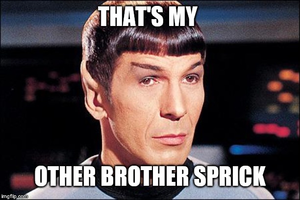 Condescending Spock | THAT'S MY OTHER BROTHER SPRICK | image tagged in condescending spock | made w/ Imgflip meme maker