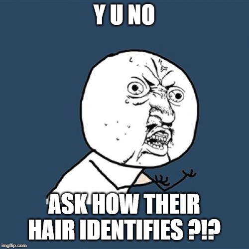 Y U No Meme | Y U NO ASK HOW THEIR HAIR IDENTIFIES ?!? | image tagged in memes,y u no | made w/ Imgflip meme maker