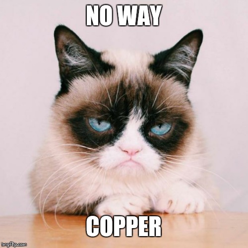 grumpy cat again | NO WAY COPPER | image tagged in grumpy cat again | made w/ Imgflip meme maker