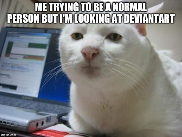 serious cat | ME TRYING TO BE A NORMAL PERSON BUT I'M LOOKING AT DEVIANTART | image tagged in serious cat | made w/ Imgflip meme maker