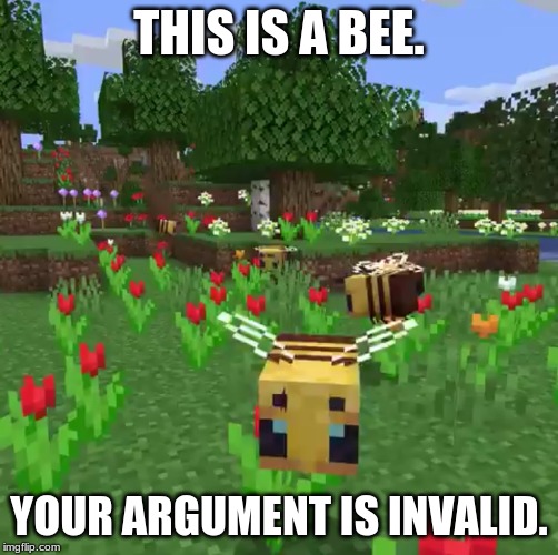 Minecraft bees | THIS IS A BEE. YOUR ARGUMENT IS INVALID. | image tagged in minecraft bees | made w/ Imgflip meme maker