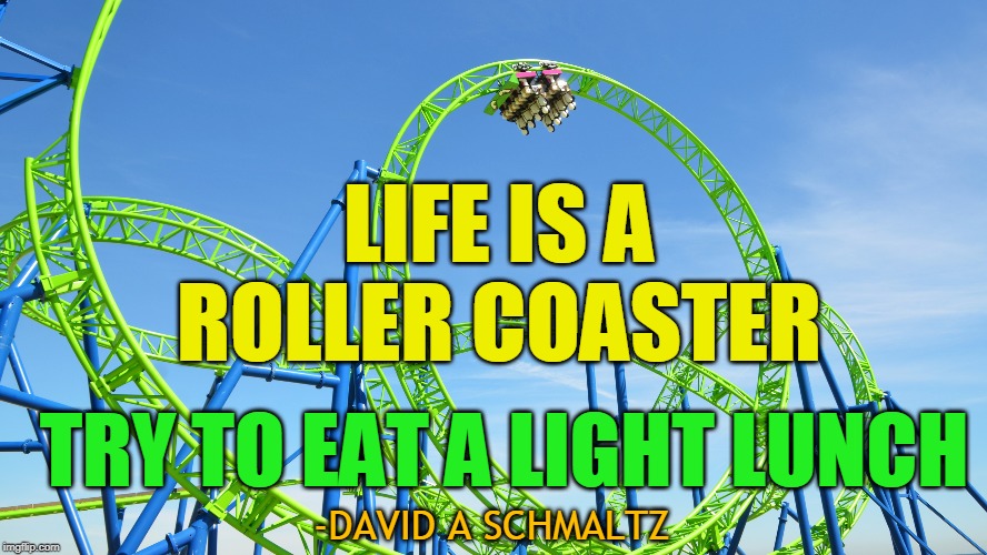 LIFE IS A ROLLER COASTER; TRY TO EAT A LIGHT LUNCH; -DAVID A SCHMALTZ | made w/ Imgflip meme maker