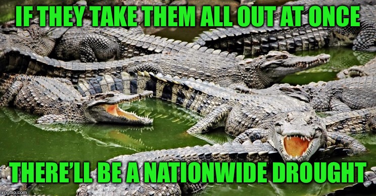 IF THEY TAKE THEM ALL OUT AT ONCE THERE’LL BE A NATIONWIDE DROUGHT | made w/ Imgflip meme maker