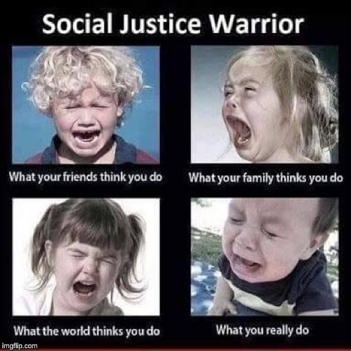 crying babies | image tagged in memes,social justice warrior,crying baby,whiners | made w/ Imgflip meme maker