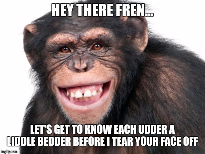 Don't trust them. | HEY THERE FREN... LET'S GET TO KNOW EACH UDDER A LIDDLE BEDDER BEFORE I TEAR YOUR FACE OFF | image tagged in chimp,monkey | made w/ Imgflip meme maker