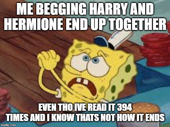 Spongebob Pleading | ME BEGGING HARRY AND HERMIONE END UP TOGETHER; EVEN THO IVE READ IT 394 TIMES AND I KNOW THATS NOT HOW IT ENDS | image tagged in spongebob pleading | made w/ Imgflip meme maker