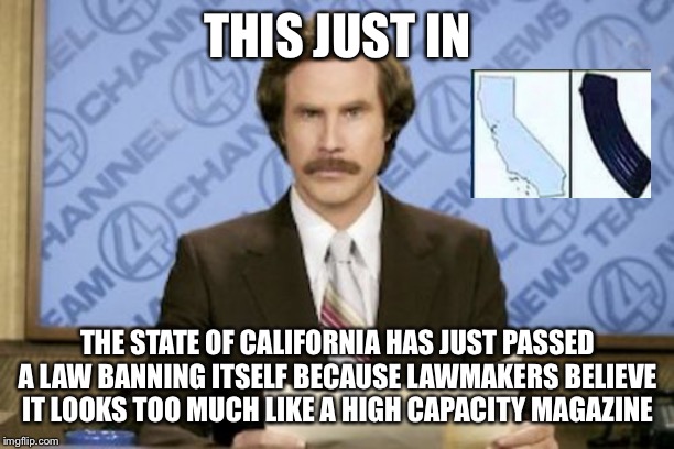 Ron Burgundy Meme | THIS JUST IN; THE STATE OF CALIFORNIA HAS JUST PASSED A LAW BANNING ITSELF BECAUSE LAWMAKERS BELIEVE IT LOOKS TOO MUCH LIKE A HIGH CAPACITY MAGAZINE | image tagged in memes,ron burgundy | made w/ Imgflip meme maker