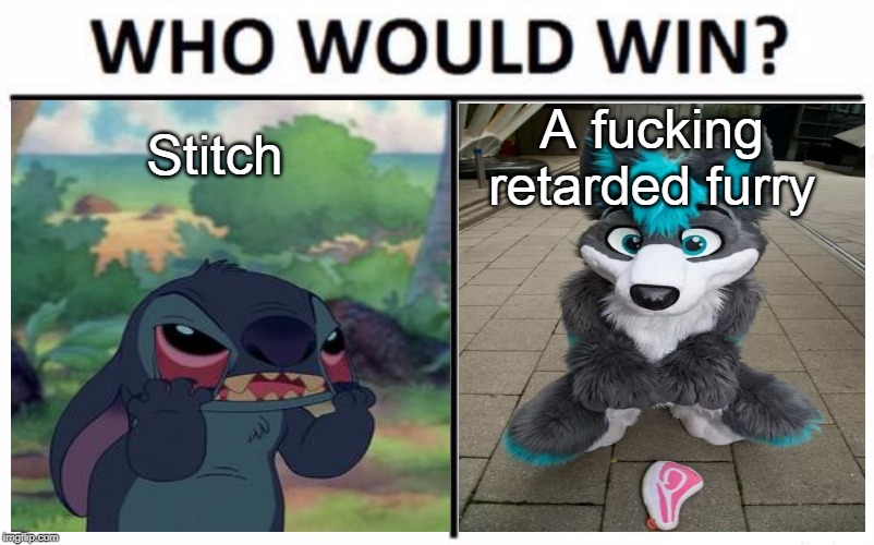 Whoever wins gets to have all of my diamonds | A fucking retarded furry; Stitch | image tagged in stitch,anti furry,who would win | made w/ Imgflip meme maker