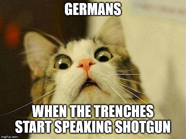 Scared Cat Meme | GERMANS; WHEN THE TRENCHES START SPEAKING SHOTGUN | image tagged in memes,scared cat | made w/ Imgflip meme maker