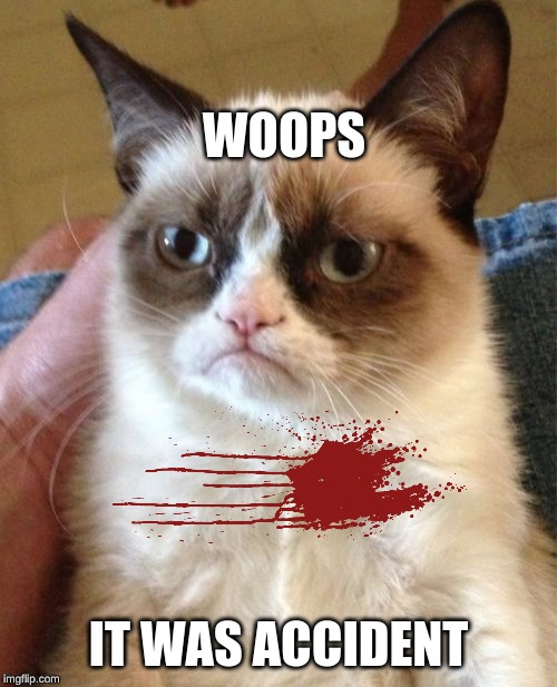 Grumpy Cat Meme | WOOPS; IT WAS ACCIDENT | image tagged in memes,grumpy cat | made w/ Imgflip meme maker