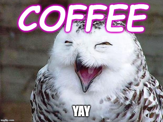 owl happy | COFFEE; YAY | image tagged in owl happy | made w/ Imgflip meme maker