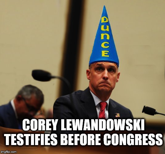 Smooth Operator .... | COREY LEWANDOWSKI TESTIFIES BEFORE CONGRESS | image tagged in congress,donald trump,russian collusion,impeach trump | made w/ Imgflip meme maker
