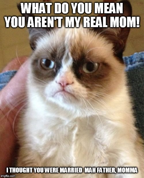 Grumpy Cat Meme | WHAT DO YOU MEAN YOU AREN'T MY REAL MOM! I THOUGHT YOU WERE MARRIED  MAH FATHER, MOMMA | image tagged in memes,grumpy cat | made w/ Imgflip meme maker