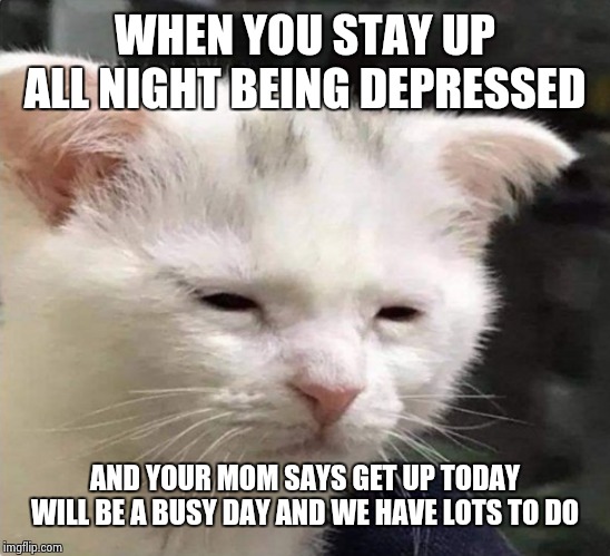 Tired cat | WHEN YOU STAY UP ALL NIGHT BEING DEPRESSED; AND YOUR MOM SAYS GET UP TODAY WILL BE A BUSY DAY AND WE HAVE LOTS TO DO | image tagged in tired cat | made w/ Imgflip meme maker