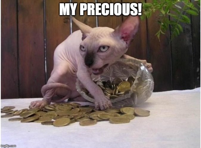 Hairless cat hoarding precious coins | MY PRECIOUS! | image tagged in hairless cat hoarding precious coins | made w/ Imgflip meme maker