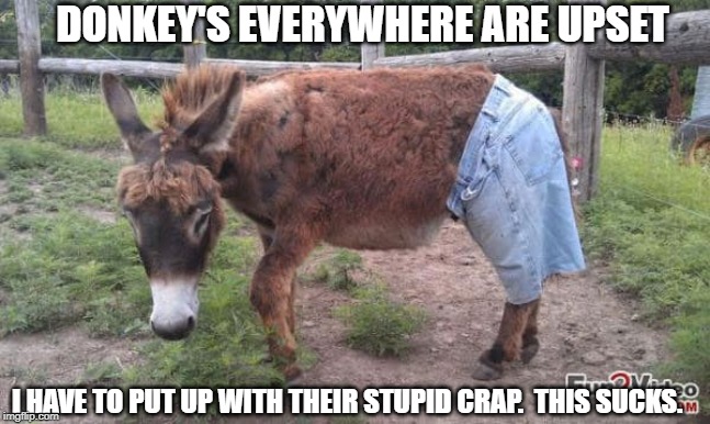 Jackass with pants | I HAVE TO PUT UP WITH THEIR STUPID CRAP.  THIS SUCKS. DONKEY'S EVERYWHERE ARE UPSET | image tagged in jackass with pants | made w/ Imgflip meme maker