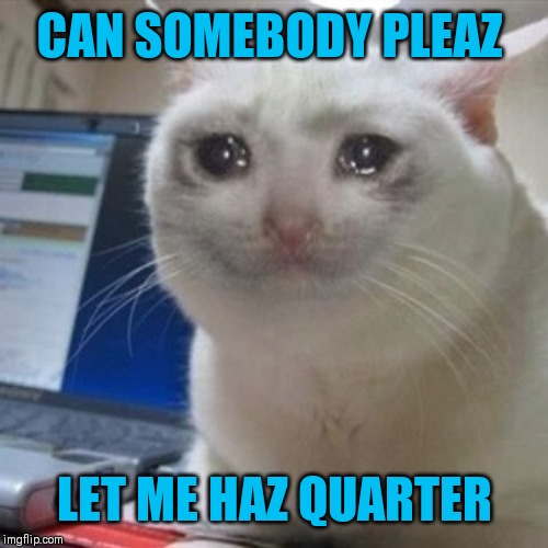 Crying cat | CAN SOMEBODY PLEAZ LET ME HAZ QUARTER | image tagged in crying cat | made w/ Imgflip meme maker
