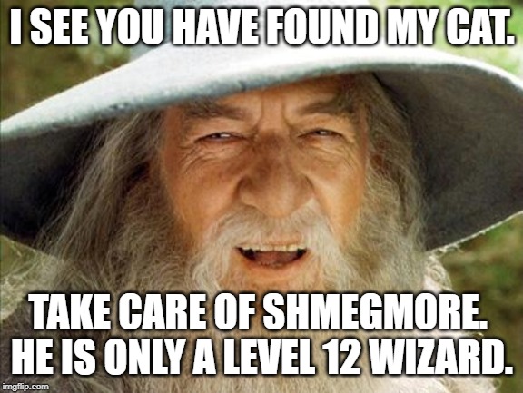 A Wizard Is Never Late | I SEE YOU HAVE FOUND MY CAT. TAKE CARE OF SHMEGMORE.  HE IS ONLY A LEVEL 12 WIZARD. | image tagged in a wizard is never late | made w/ Imgflip meme maker