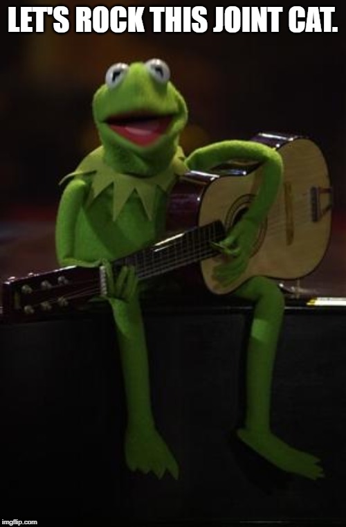 Kermit Guitar | LET'S ROCK THIS JOINT CAT. | image tagged in kermit guitar | made w/ Imgflip meme maker