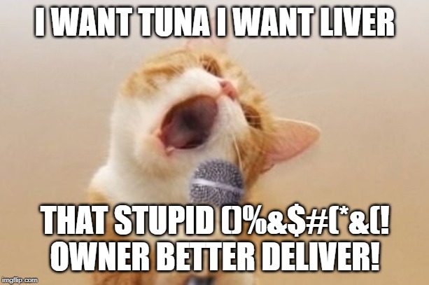 Funny cat | I WANT TUNA I WANT LIVER THAT STUPID ()%&$#(*&(! OWNER BETTER DELIVER! | image tagged in funny cat | made w/ Imgflip meme maker