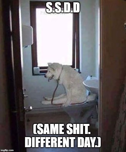 Poopin Doggy | S.S.D.D (SAME SHIT.  DIFFERENT DAY.) | image tagged in poopin doggy | made w/ Imgflip meme maker