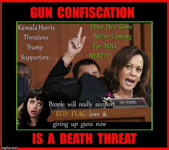 Gun Confiscation | image tagged in gun confiscation,kamala harris,2nd amendment,lol,politics,red flag laws | made w/ Imgflip meme maker