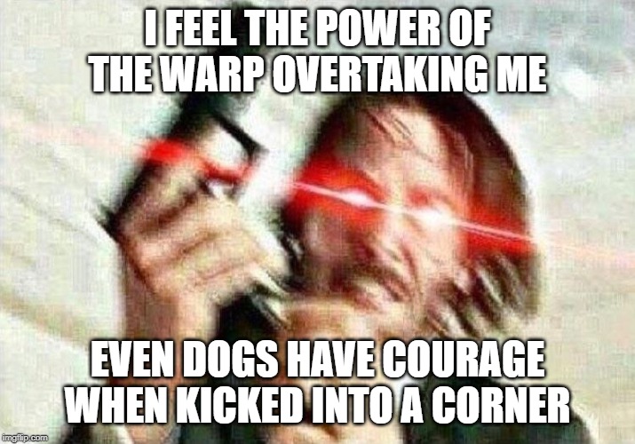John Wick | I FEEL THE POWER OF THE WARP OVERTAKING ME; EVEN DOGS HAVE COURAGE WHEN KICKED INTO A CORNER | image tagged in john wick | made w/ Imgflip meme maker