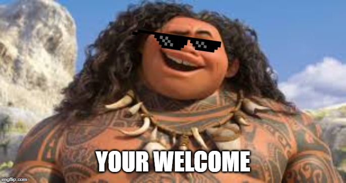 Your welcome | YOUR WELCOME | image tagged in your welcome | made w/ Imgflip meme maker