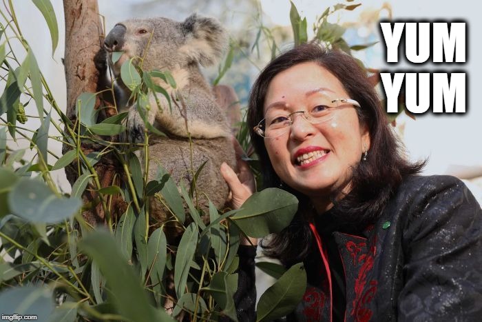 Gladys Liu Koala | YUM YUM | image tagged in gladys liu koala | made w/ Imgflip meme maker