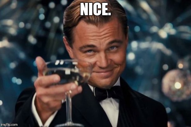 Leonardo Dicaprio Cheers Meme | NICE. | image tagged in memes,leonardo dicaprio cheers | made w/ Imgflip meme maker