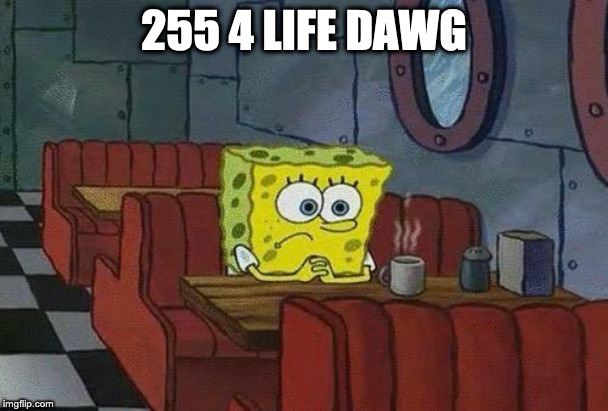 tfw-income-tax-delayed | 255 4 LIFE DAWG | image tagged in tfw-income-tax-delayed | made w/ Imgflip meme maker