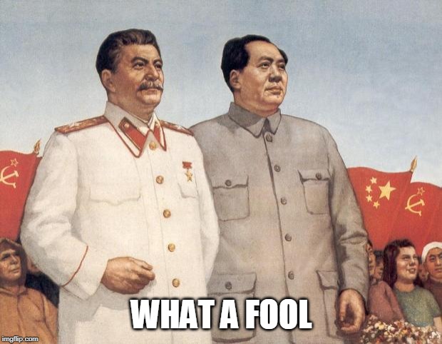 Stalin and Mao | WHAT A FOOL | image tagged in stalin and mao | made w/ Imgflip meme maker