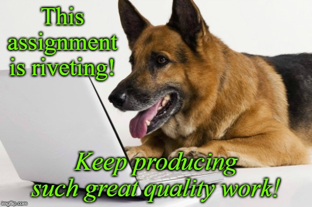 dog reading emails | This assignment is riveting! Keep producing such great quality work! | image tagged in dog reading emails | made w/ Imgflip meme maker