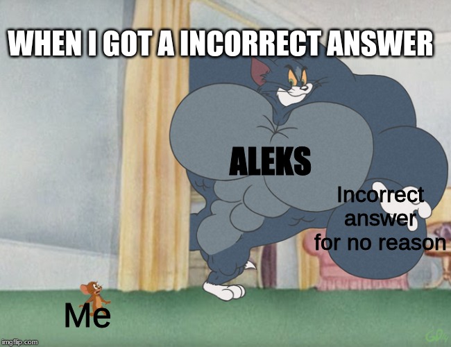 Buff Tom and Jerry Meme Template | WHEN I GOT A INCORRECT ANSWER; ALEKS; Incorrect answer for no reason; Me | image tagged in buff tom and jerry meme template | made w/ Imgflip meme maker