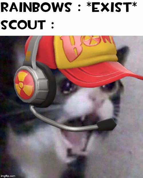 Rainbows : *exist*; Scout : | made w/ Imgflip meme maker
