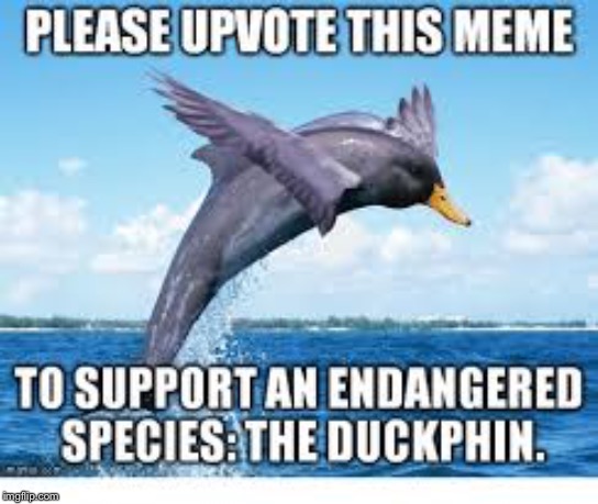 Please upvote please | image tagged in upvotes | made w/ Imgflip meme maker